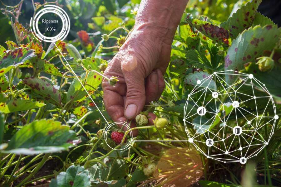Key Applications of AI in Agrochemicals